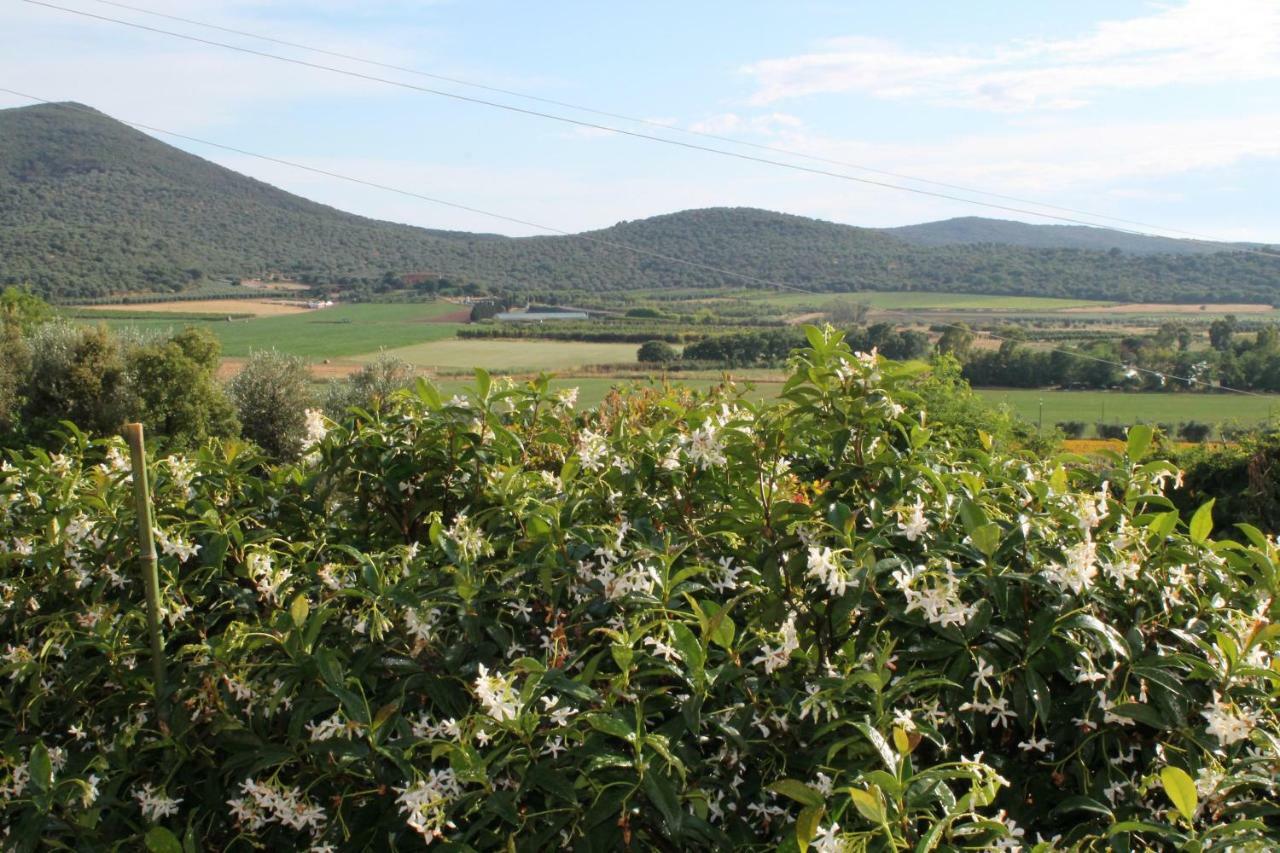 Agriturismo Podere Montenero Alberese Buitenkant foto